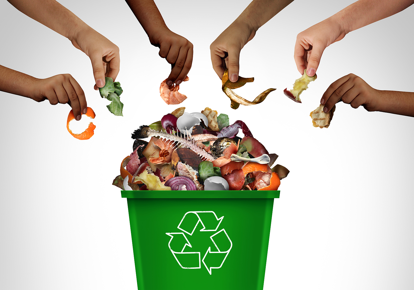 What is Food Compost? Unveiling the Green Solution with Bay Area Trash Compactor
