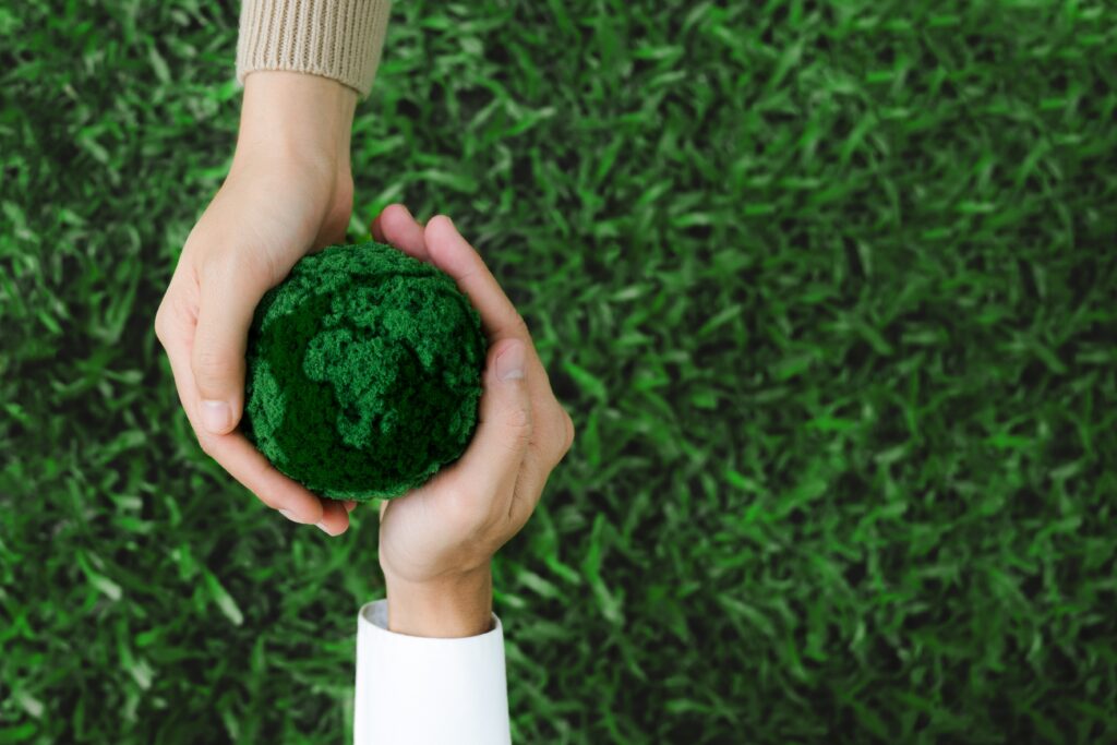 Sustainability consulting