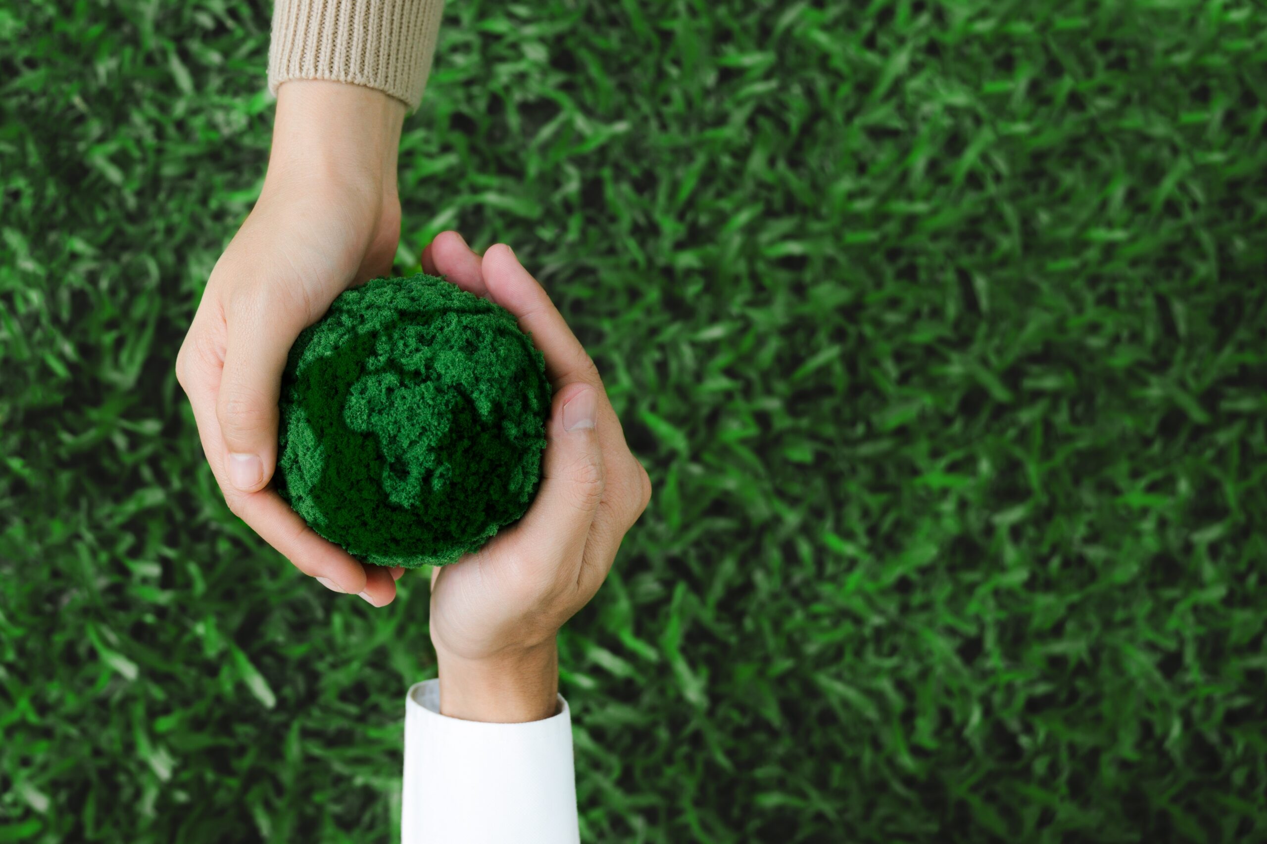 Sustainability Consulting That Transforms Waste Into Opportunity